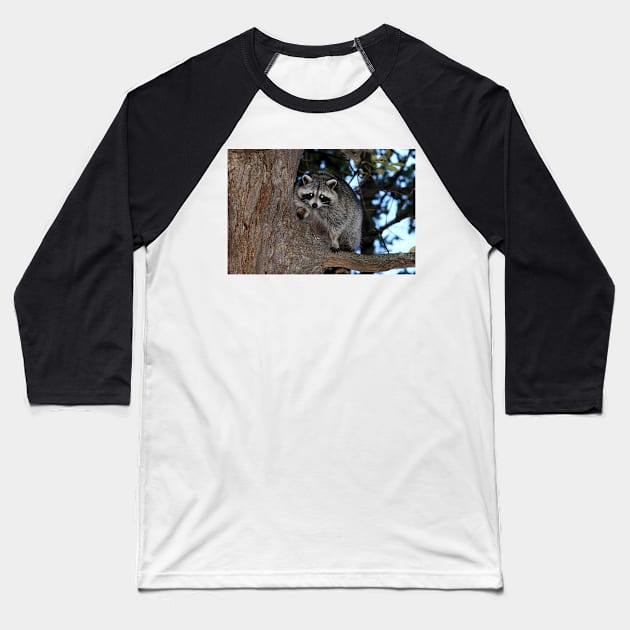 Raccoon Baseball T-Shirt by Jim Cumming